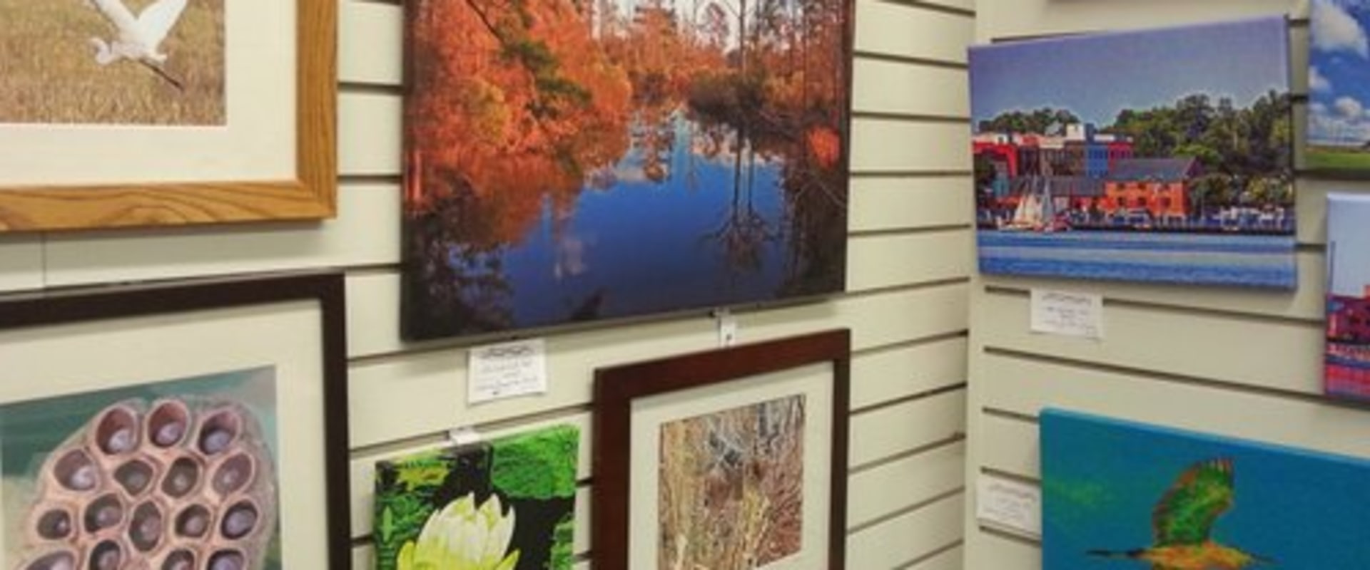 Uncovering the Hidden Gem: The Art and Frame Gallery in North Augusta, South Carolina